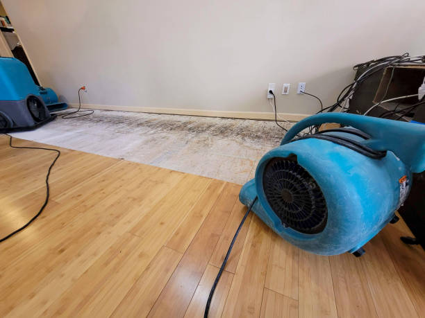 Professional Water Damage Repair technician working in Bath, NC